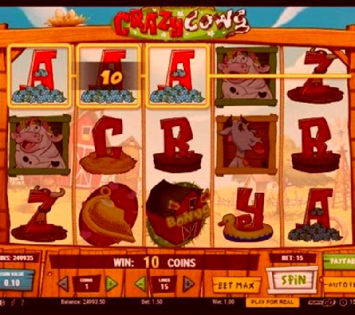 Crazy Cows slot
