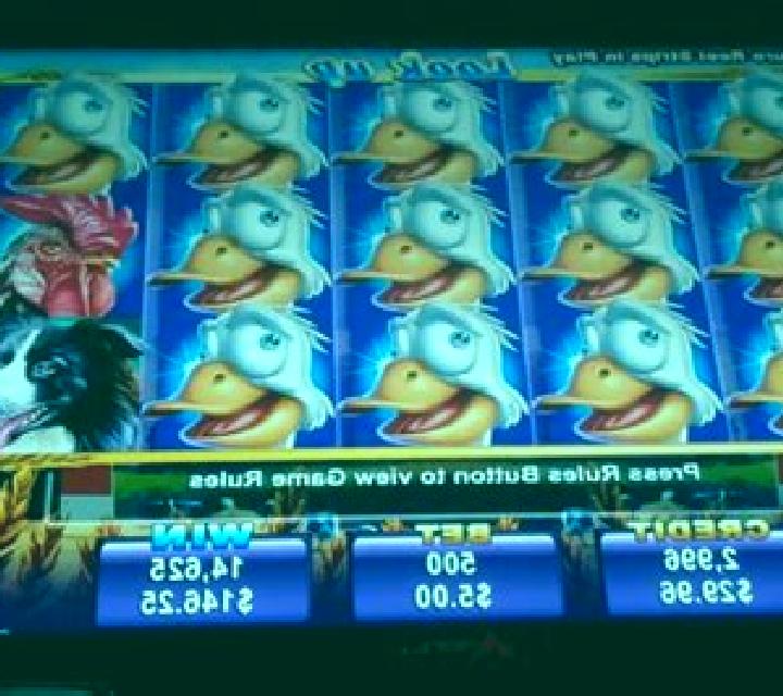 Crazy Goose slot machine