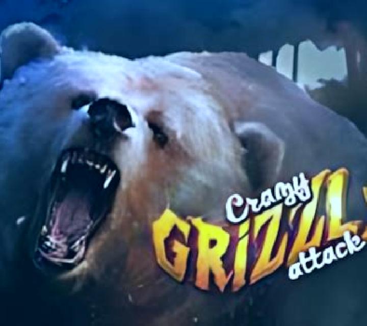 Crazy Grizzly Attack slot