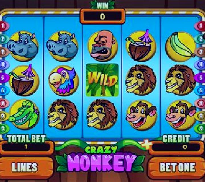 Crazy Monkey Ultra Link&Win slot