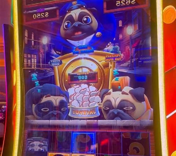 Crazy Pug online slot