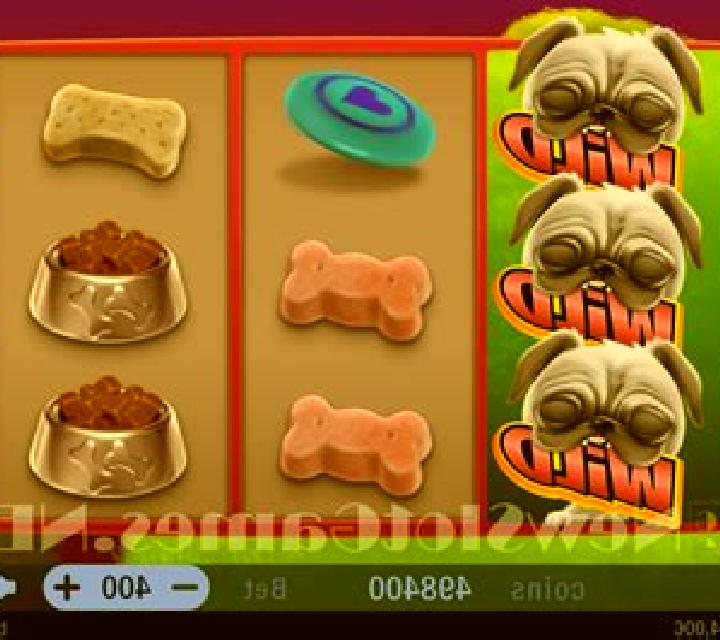 Crazy Pug slot game