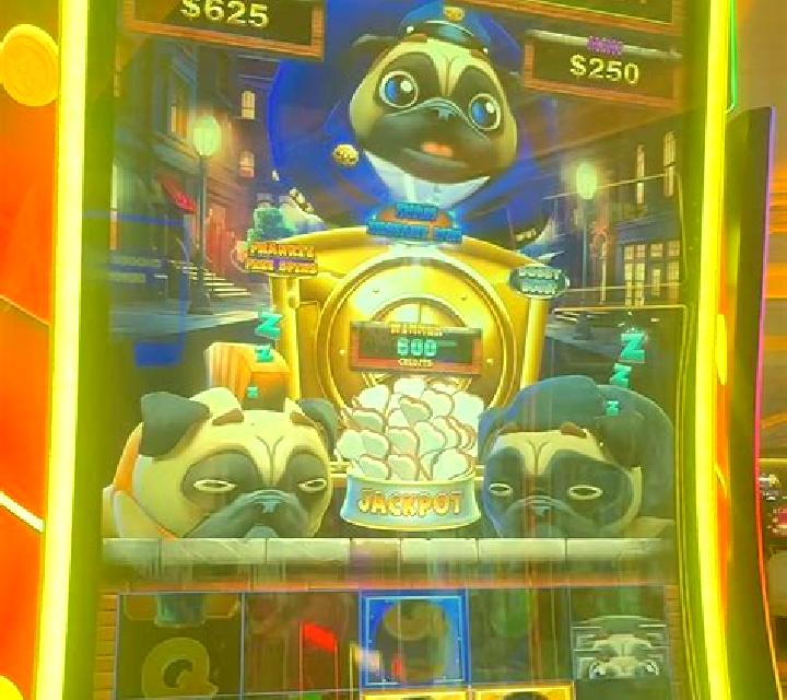 Crazy Pug slot machine