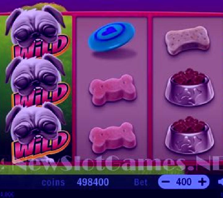 Crazy Pug slot