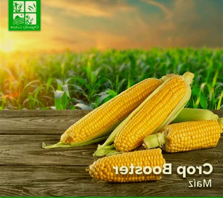 Crop Booster online slot