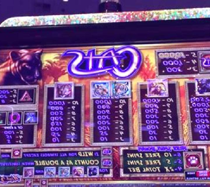 Cutey Cats slot machine