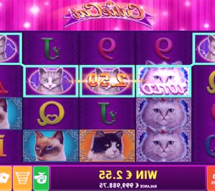 Cutie Cat slot game