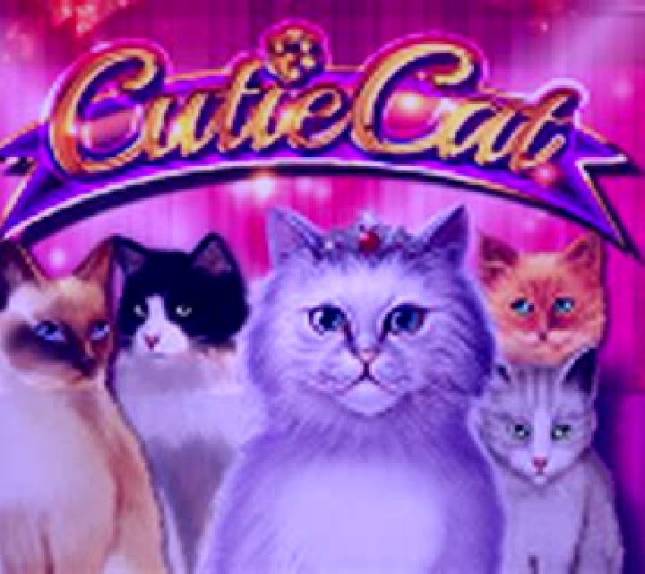 Cutie Cat slot machine