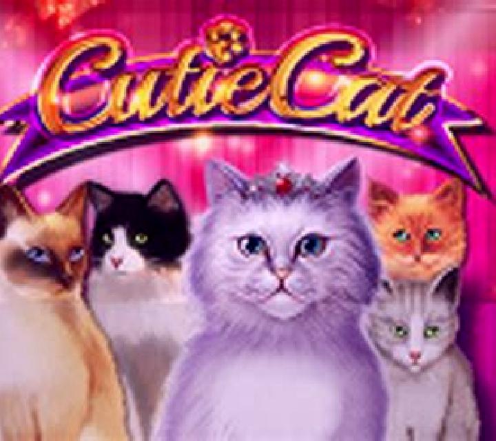 Cutie Cat slot