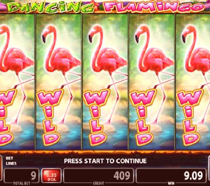 Dancing Flamingo slot machine