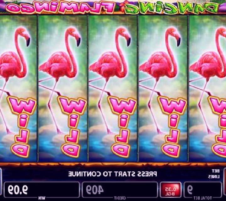 Dancing Flamingo slot