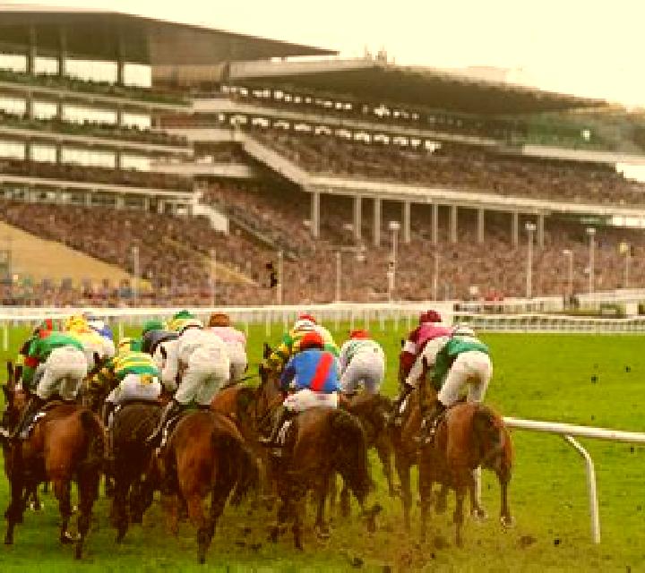 Day at the Races slot game