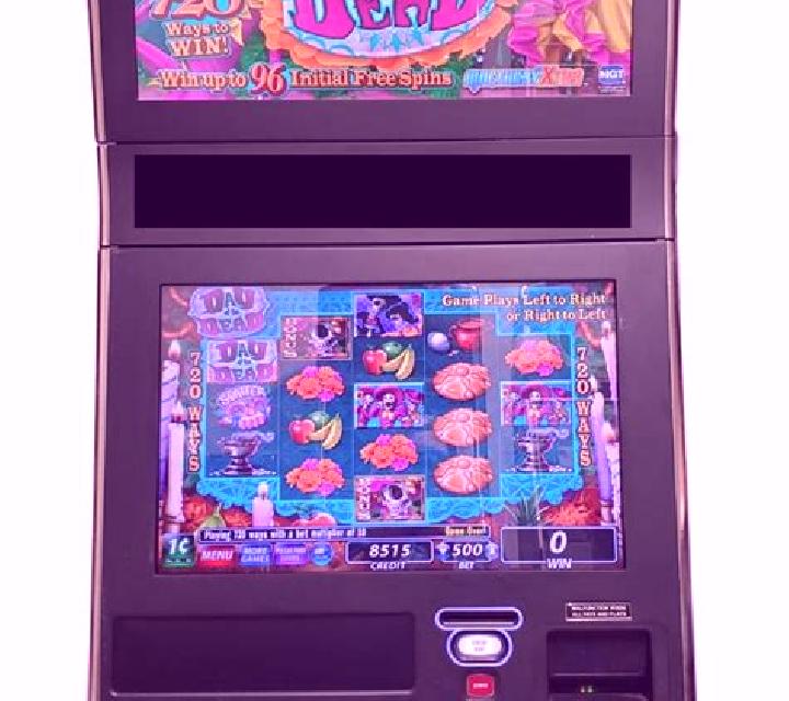 Day of the Dead (IGT) slot game