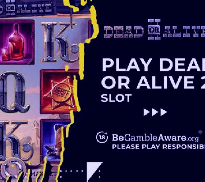 Dead or Alive 2 slot game