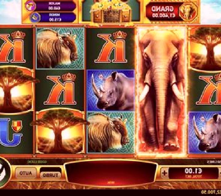 Delhi the Elephant slot machine