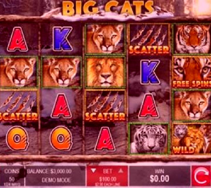 Desert Cats online slot