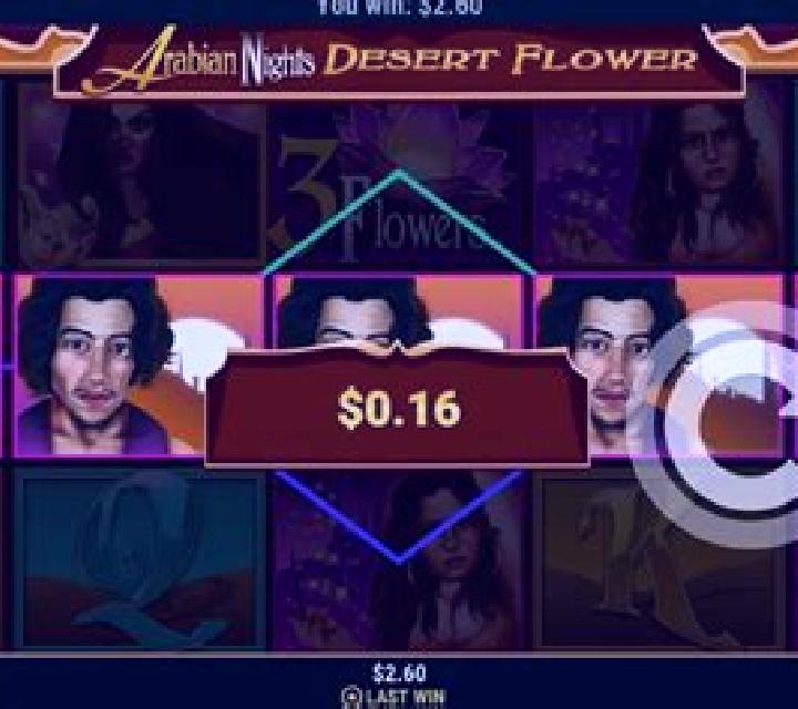 Desert Flower slot