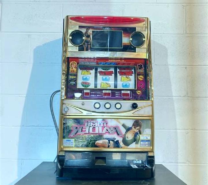 Desert Raider slot machine