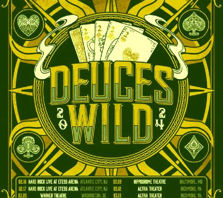 Deuces Wild (FBM Digital Systems) slot machine
