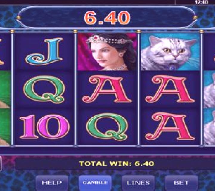 Diamond Cats slot