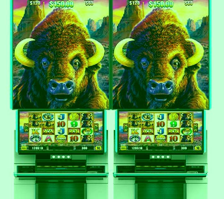 Diamond Link Mighty Buffalo slot machine