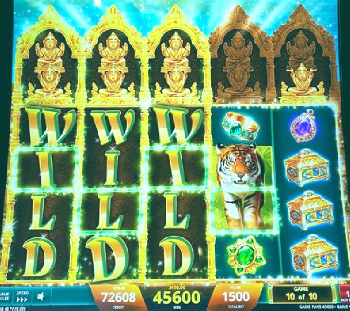 Dice Jungle slot machine