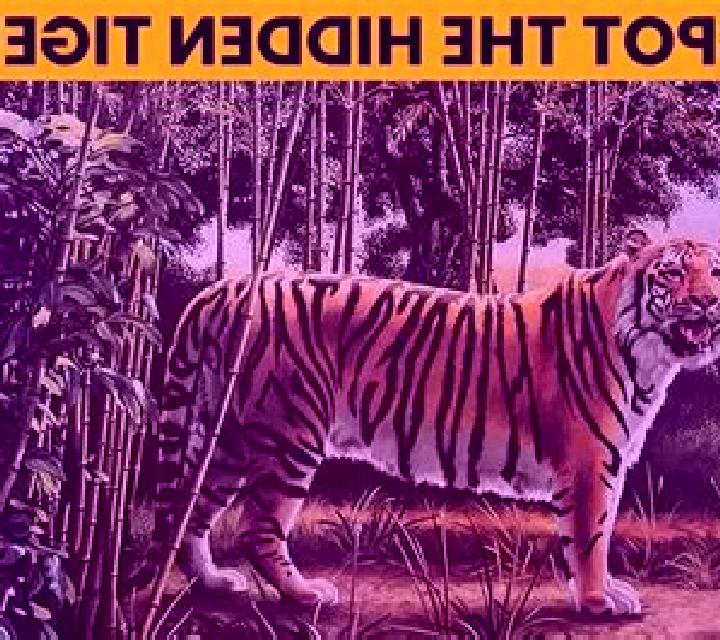 Diego Wild Search for the Hidden Tiger slot game
