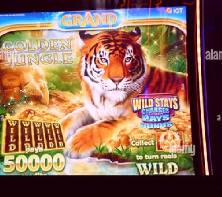 Diego Wild Search for the Hidden Tiger slot machine