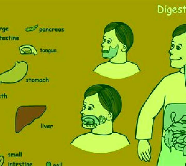 Digestion slot game