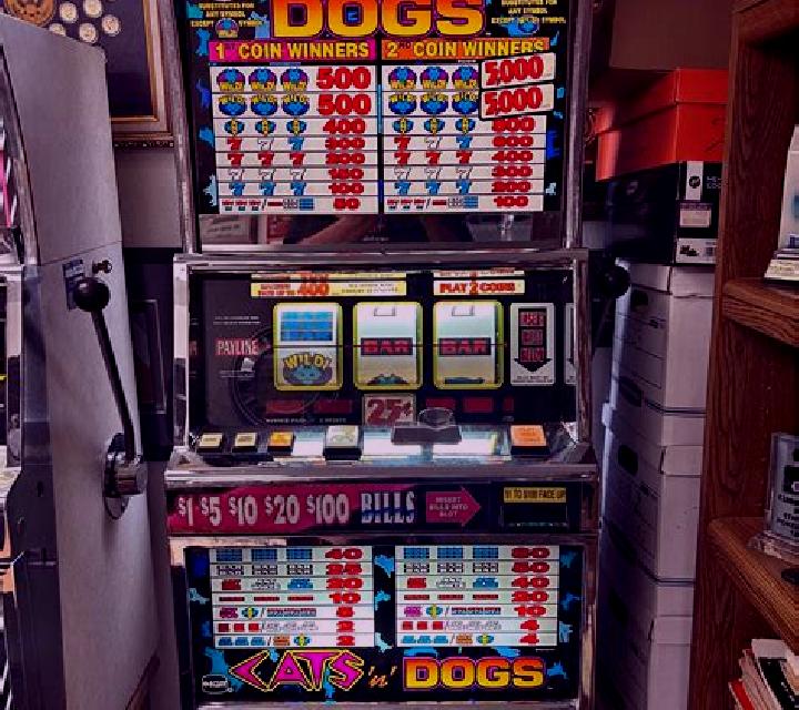 Diner Dogs slot machine