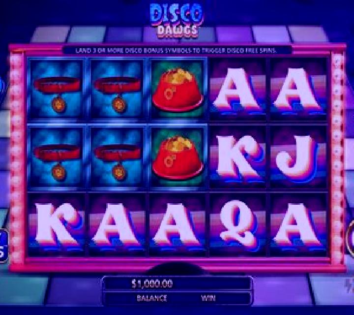 Disco Dawgs slot machine
