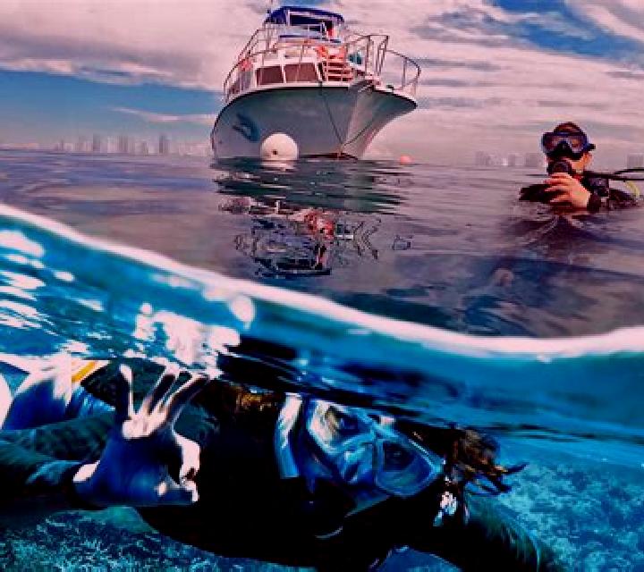 Divers Paradise online slot