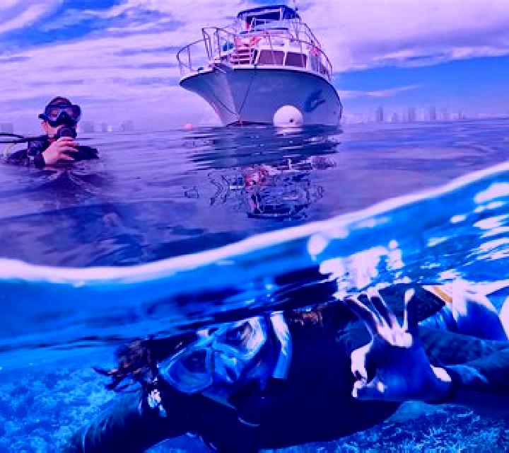 Divers Paradise slot game