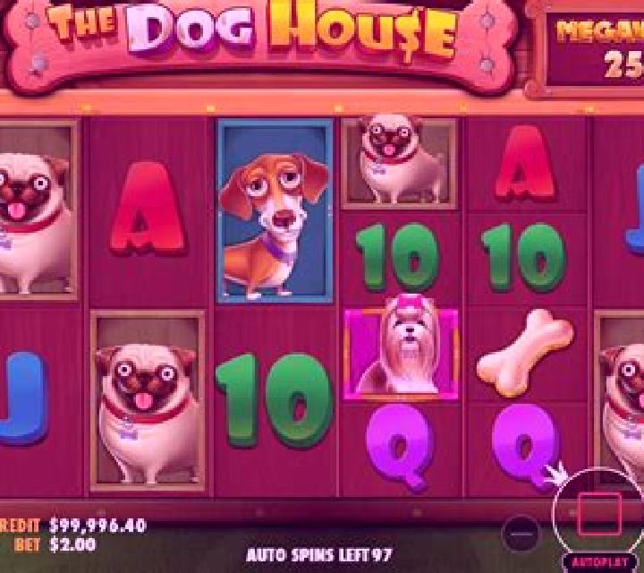 DJ Dog slot machine