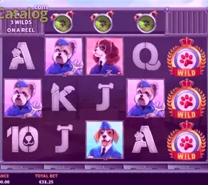 Dog Fighters – Their Finest Hour slot
