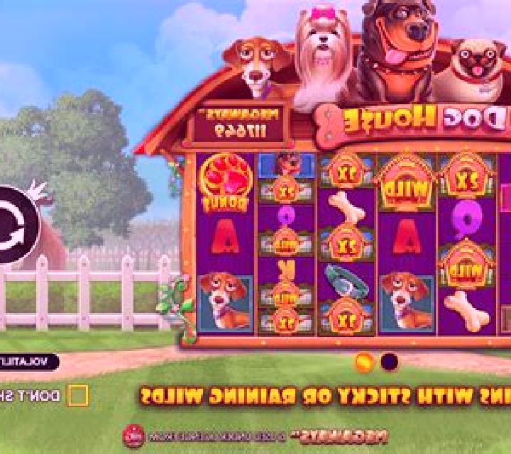 Dog House Bonanza slot