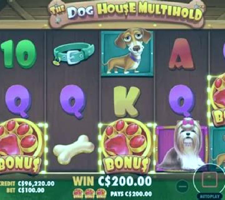 Dog Park slot