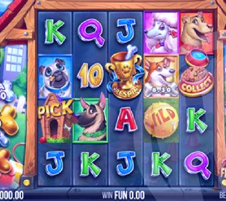 Dog Pound Dollars slot machine