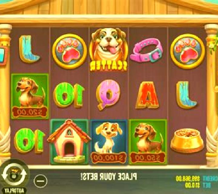 Dog Pound slot