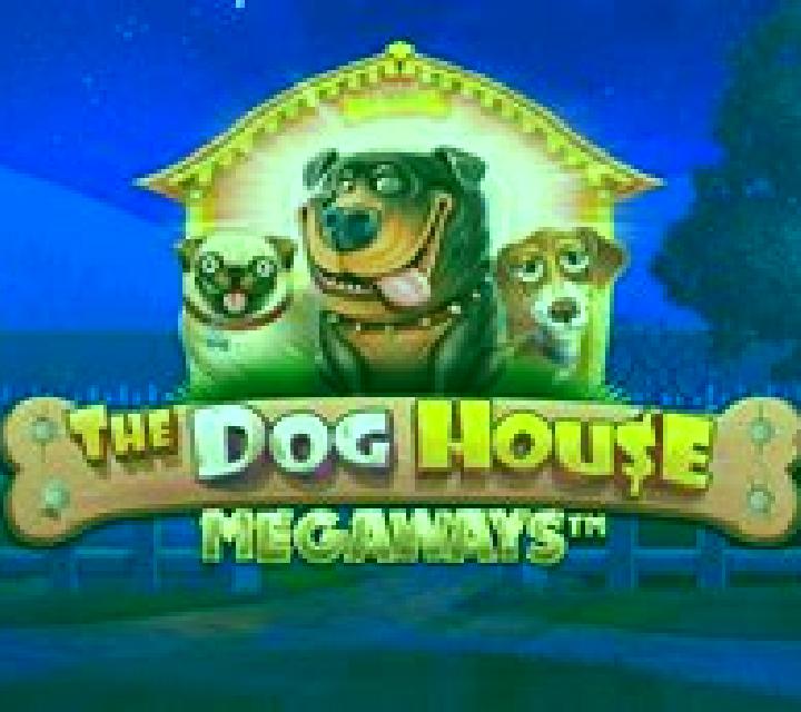 Dog Racing (Elbet) online slot