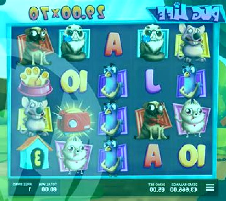 Doge Life slot game