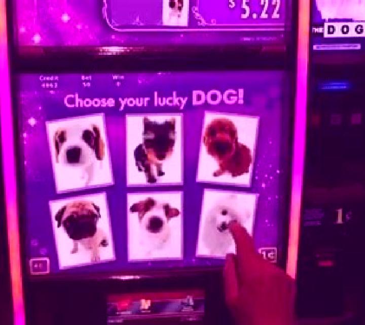 Doggie Star slot machine