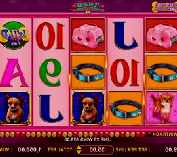 Doggone Lucky slot