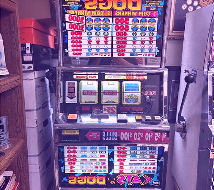 Dogs slot machine