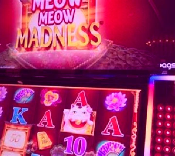 Dojo Meow slot machine