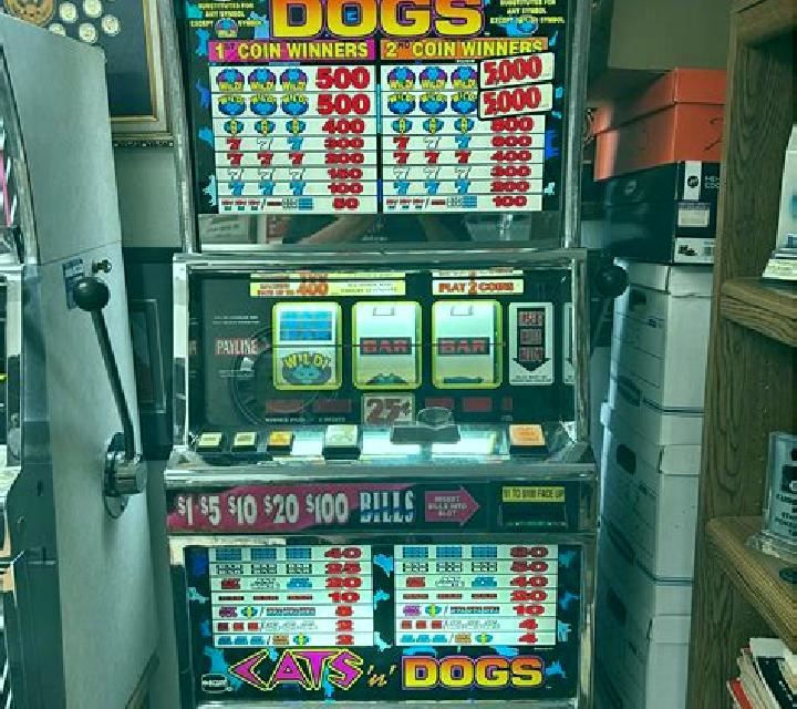 Dollar Dogs Deluxe slot game