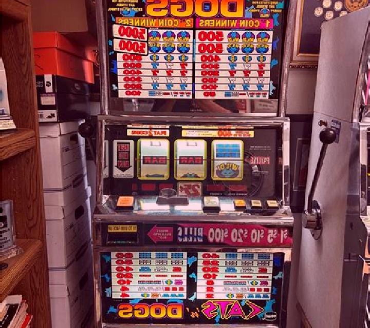 Dollar Dogs Deluxe slot machine