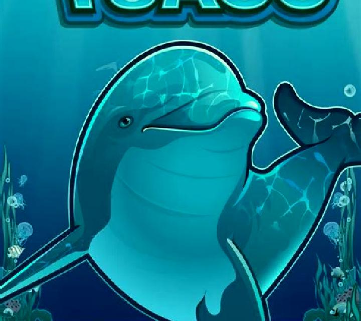 Dolphin Coast slot game
