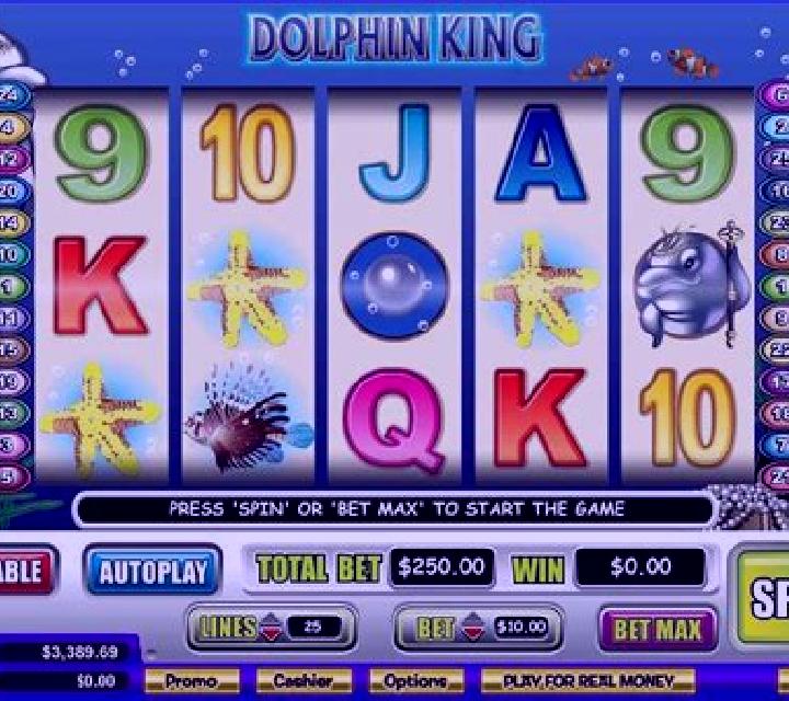 Dolphin King slot