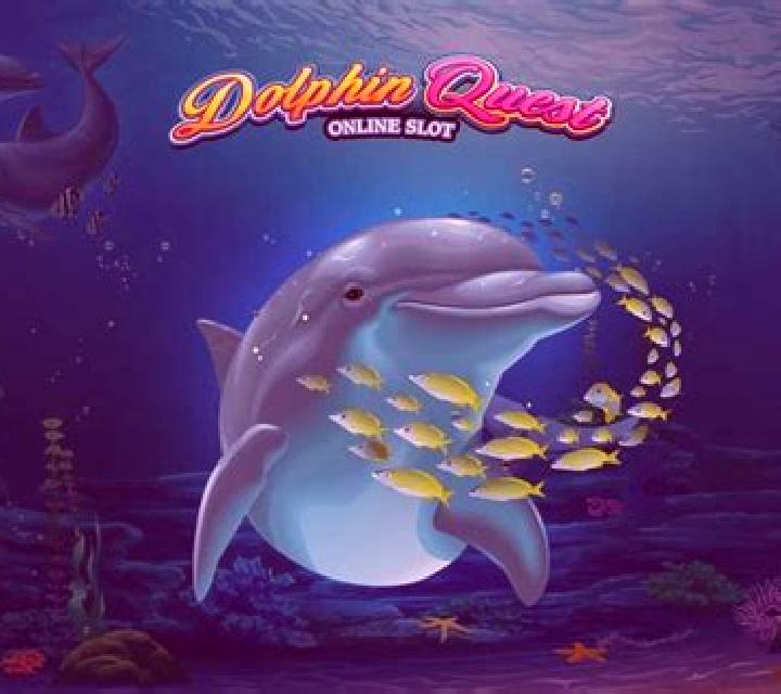 Dolphin Quest online slot